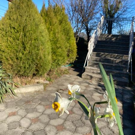 Guest House Nona クタイシ エクステリア 写真